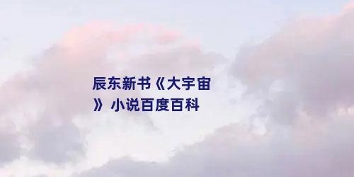 辰东新书《大宇宙》 小说百度百科